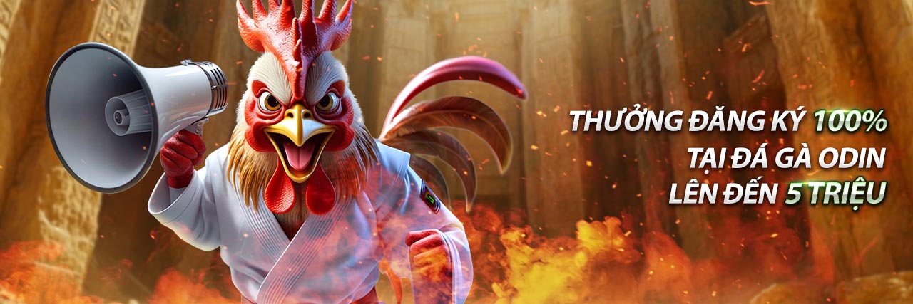 Đá gà cựa sắt với những cú đá mạnh mẽ và tốc độ